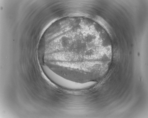 X0000085301476200704092245