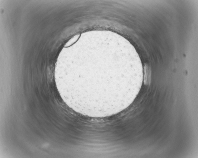 X0000085301491200704092244