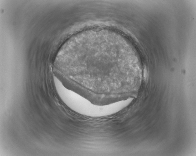 X0000085301492200704092244