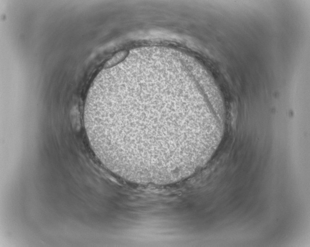 X0000085301493200704092244