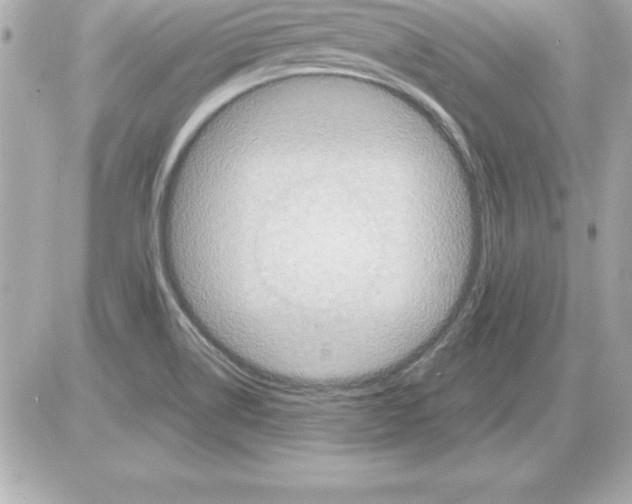 X0000085301514200704092244