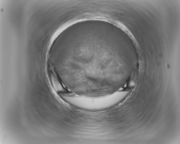X0000085301520200704092244