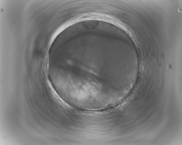 X0000085301522200704092245