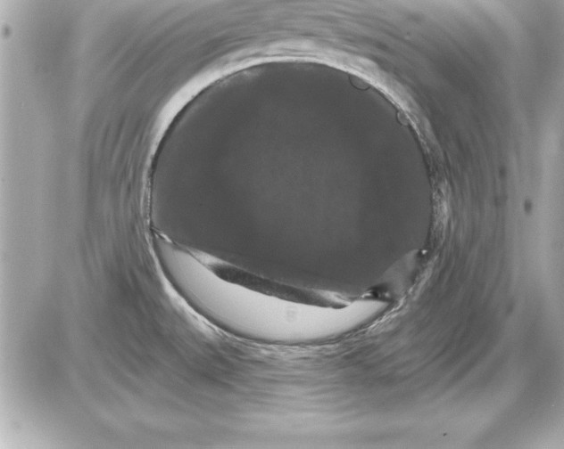 X0000085301527200704092245