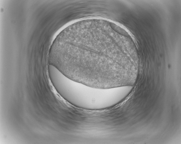 X0000085301534200704092245