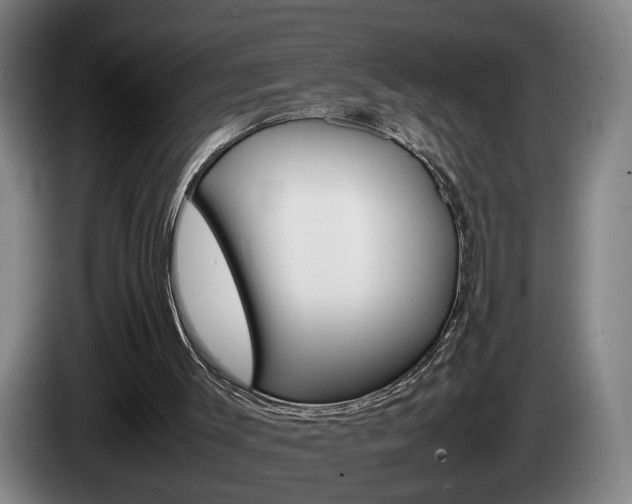 X0000085310003200703091104