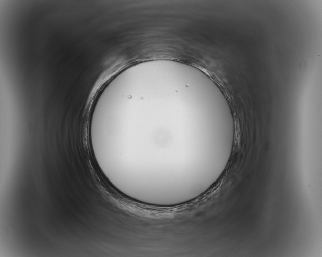 X0000085310004200703091104