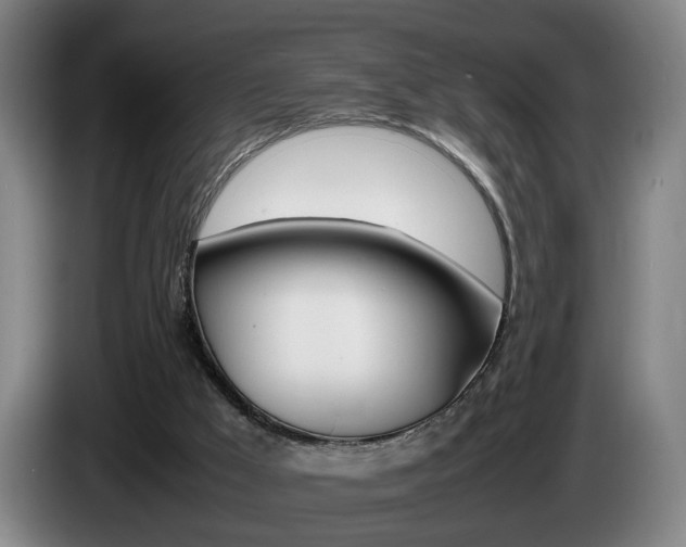 X0000085310009200703091104
