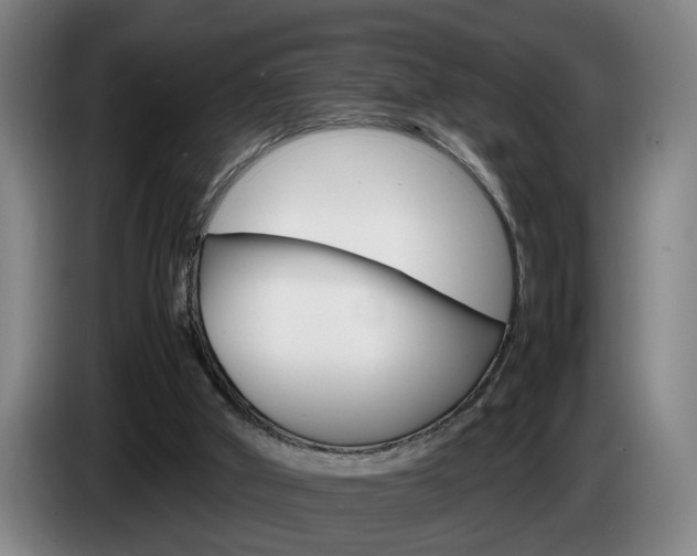 X0000085310010200703091104