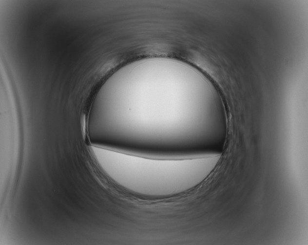 X0000085310013200703091104