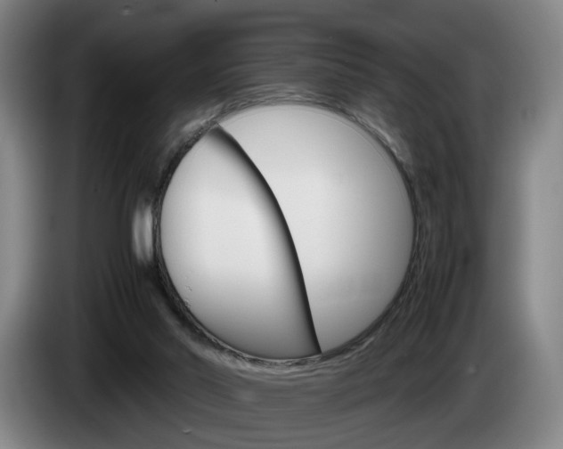 X0000085310014200703091104