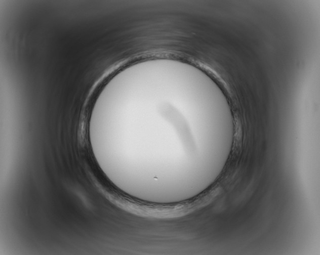 X0000085310016200703091103