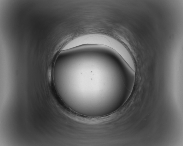 X0000085310019200703091103