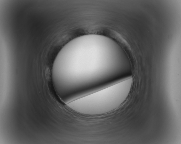 X0000085310025200703091103