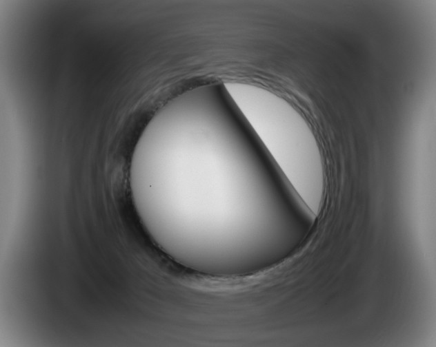 X0000085310029200703091103