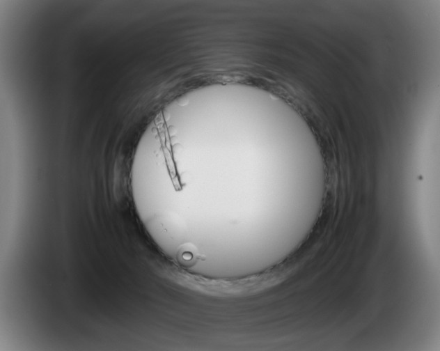 X0000085310030200703091103