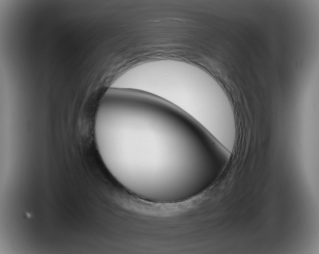 X0000085310031200703091103