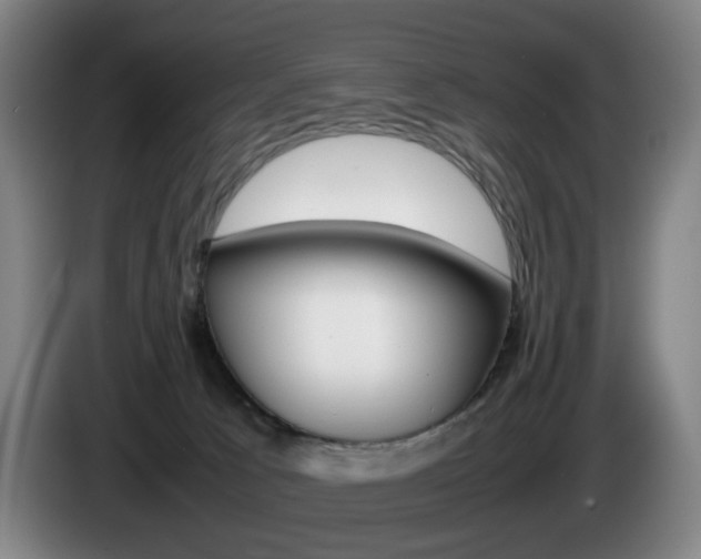 X0000085310033200703091103