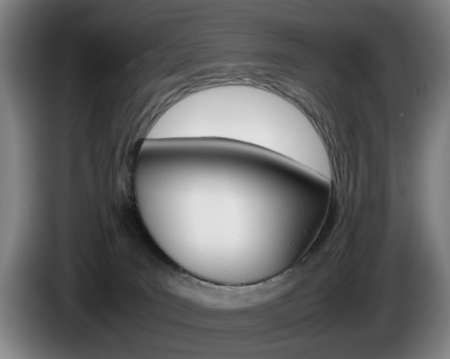 X0000085310035200703091103