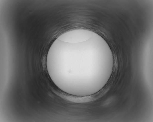 X0000085310036200703091103