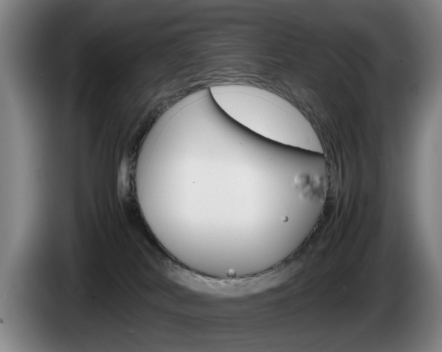 X0000085310038200703091103