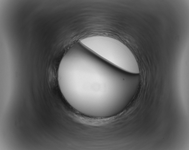 X0000085310040200703091103