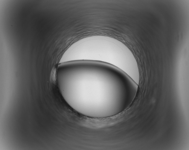 X0000085310041200703091103