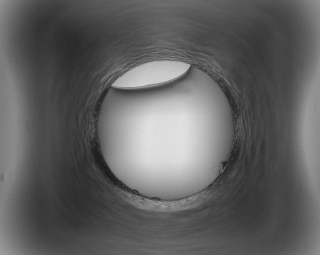 X0000085310043200703091103