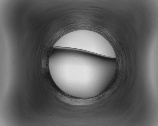 X0000085310044200703091103