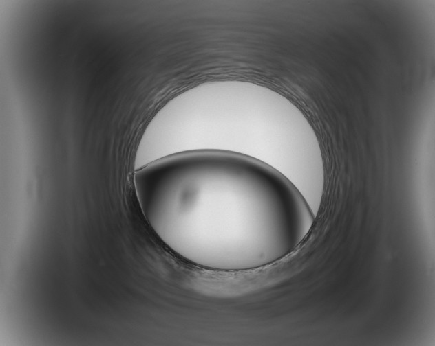 X0000085310045200703091103