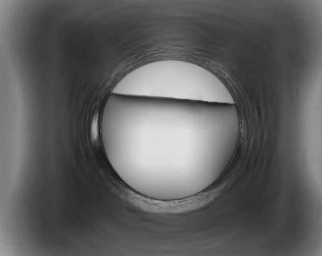 X0000085310046200703091103