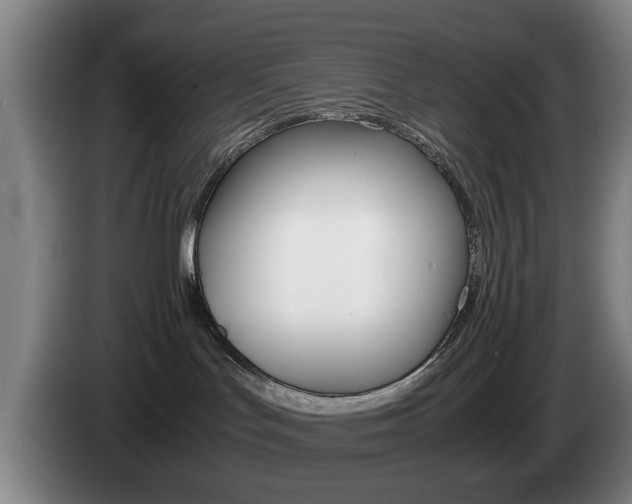 X0000085310047200703091103