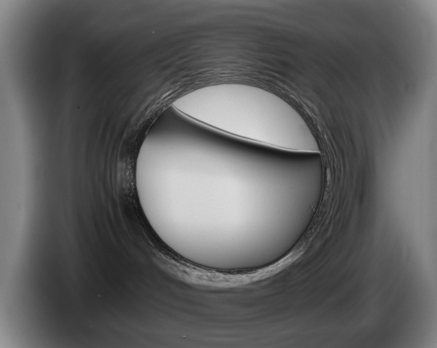 X0000085310048200703091103