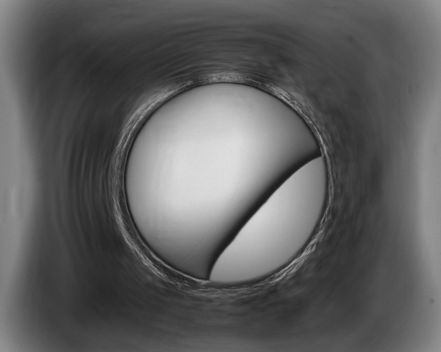 X0000085310049200703091102