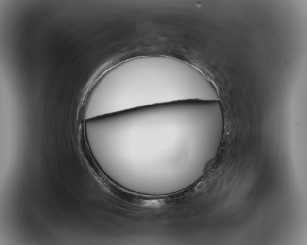 X0000085310053200703091102