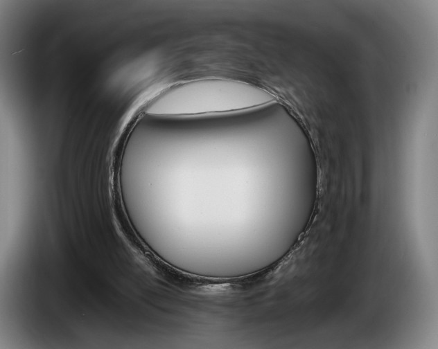 X0000085310054200703091102