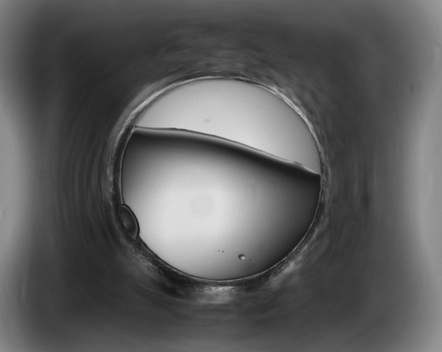 X0000085310055200703091102