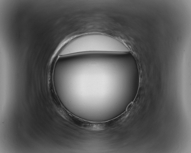 X0000085310056200703091102