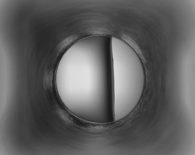 X0000085310058200703091103
