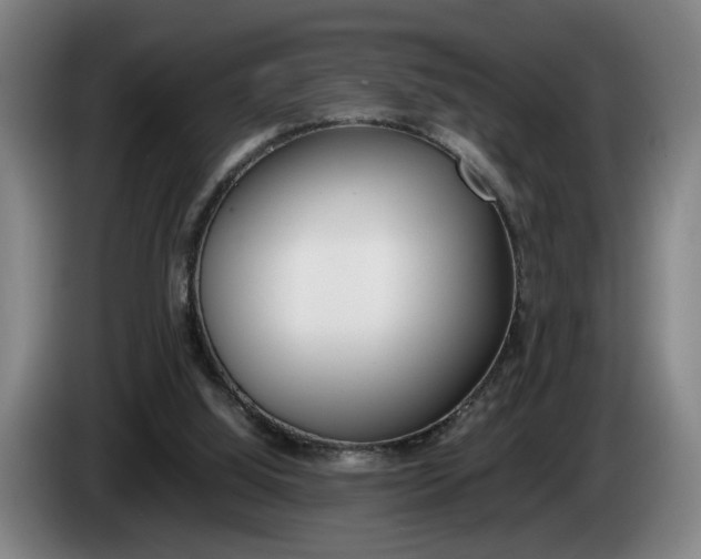 X0000085310060200703091103