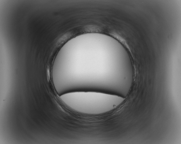 X0000085310061200703091103