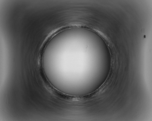 X0000085310064200703091103