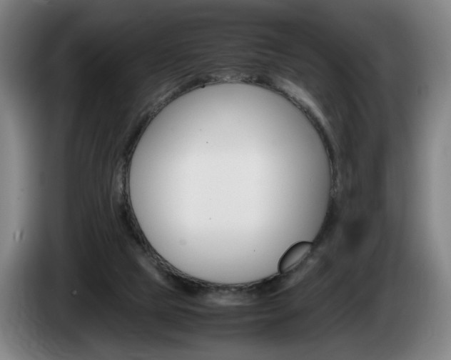 X0000085310065200703091103