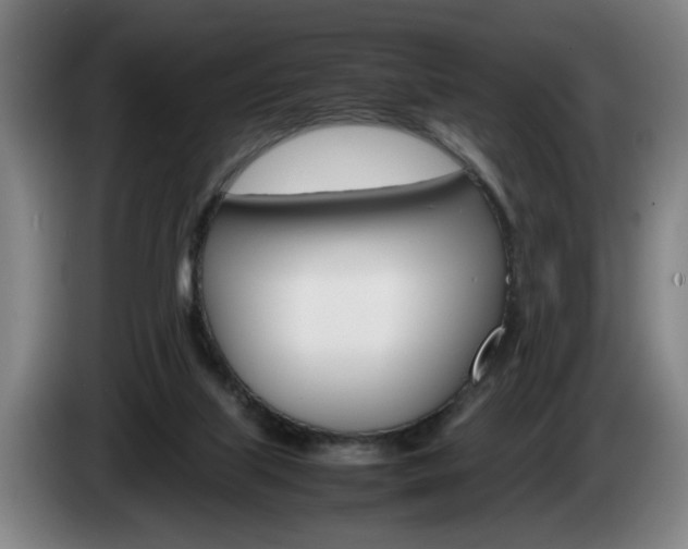 X0000085310067200703091103