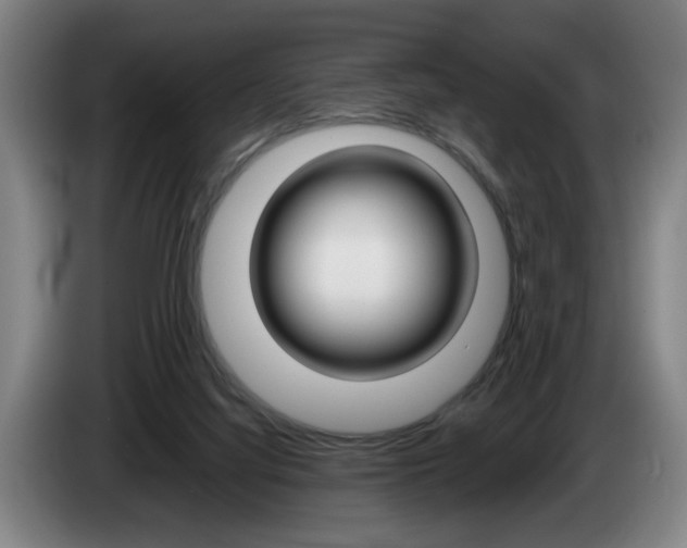 X0000085310068200703091103