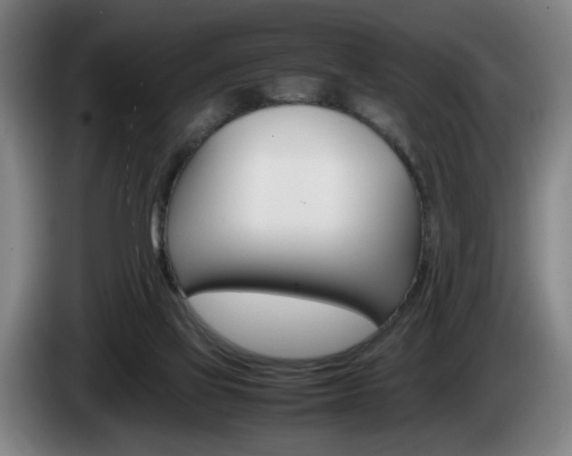 X0000085310069200703091103
