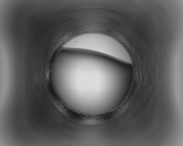 X0000085310072200703091103