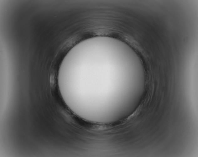 X0000085310074200703091103