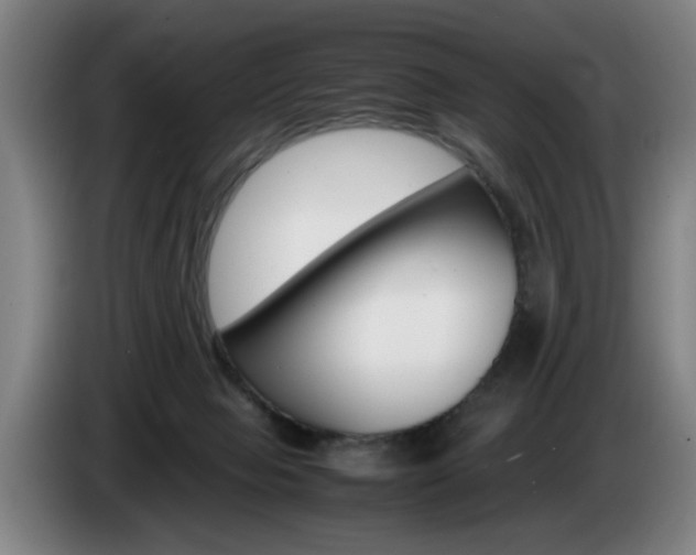 X0000085310077200703091103