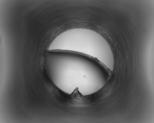 X0000085310079200703091103